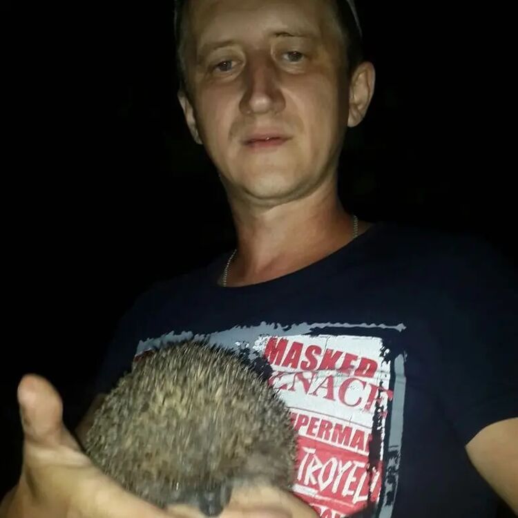 ���������� ������, ���� ������� ���������, 43 ����, ������������ ��� ����� � ���������, c�������� ���������