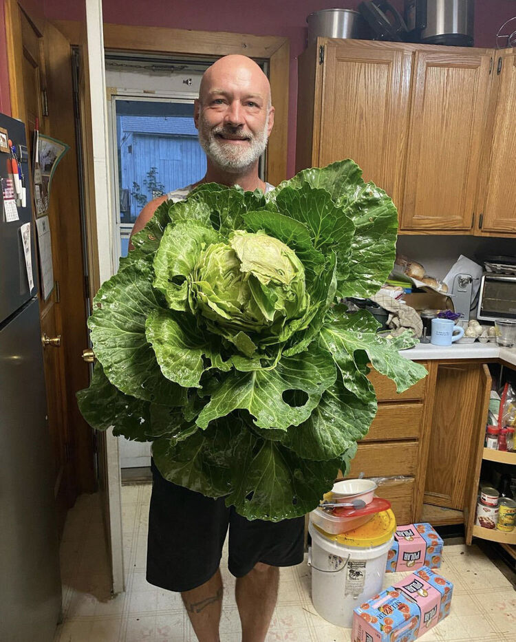  ?,   Viktor, 49 ,   ,   