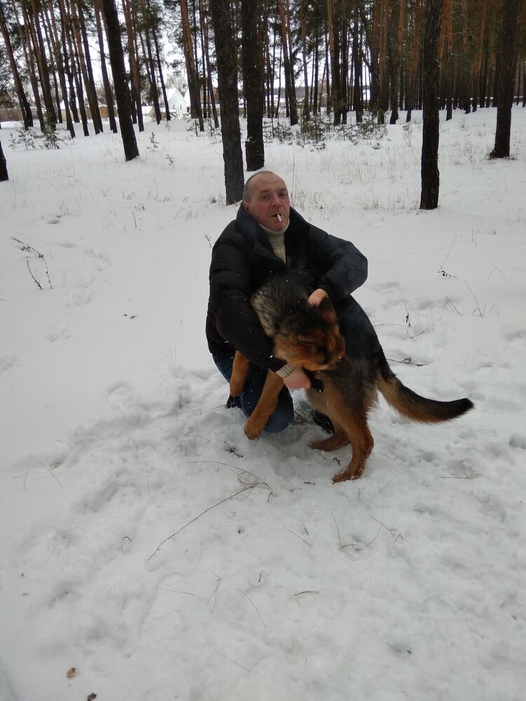 ���� 55736143 ������� �����, 55 ���, ���� ���������� � ���������