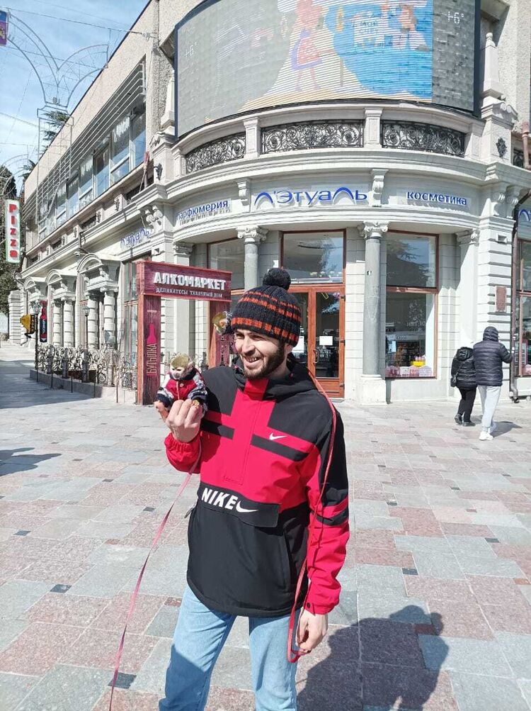 ���������� �����������, ���� ������� MEMENTO MORI, 33 ����, ������������ ��� ������, ����� � ���������