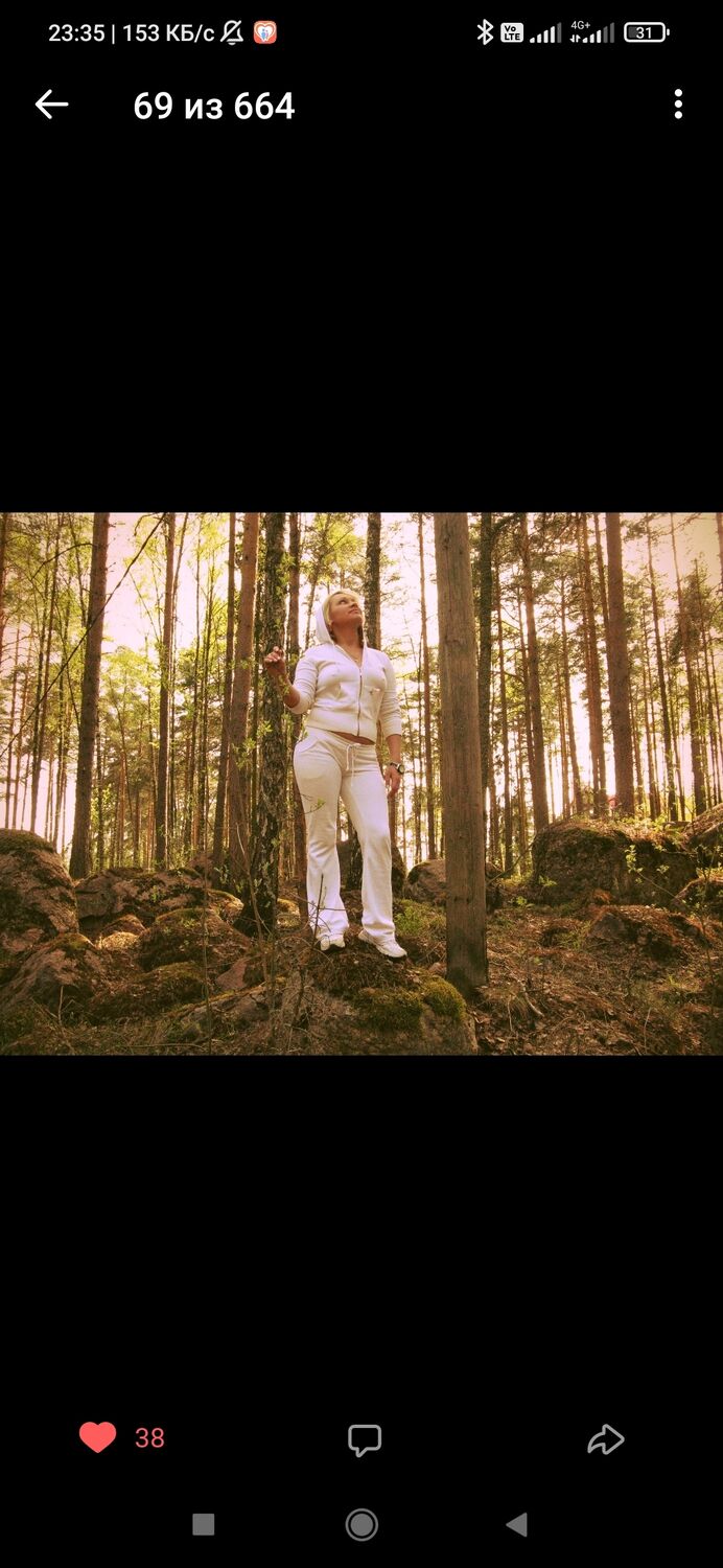  53836343  , 40 ,    -