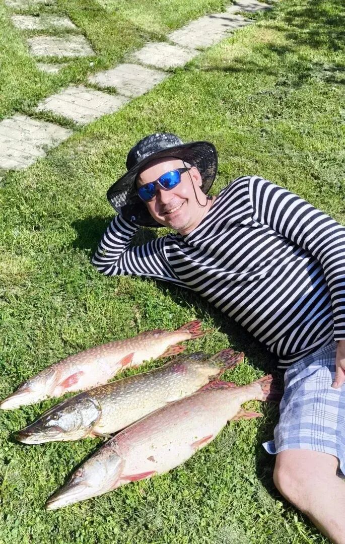 ���������� ������, ���� ������� ��������, 46 ���, ������������ ��� ����� � ���������, c�������� ���������