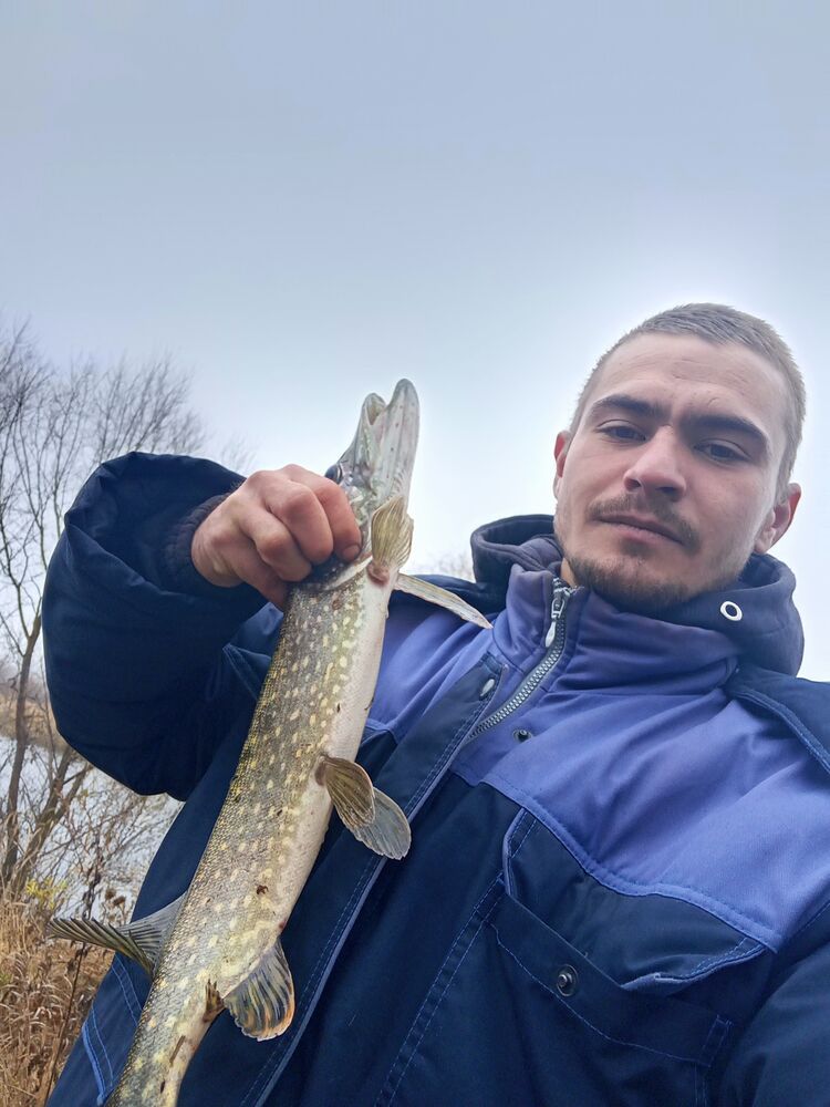 ���������� �������, ���� ������� ����������, 27 ���, ������������ ��� ������, ����� � ���������