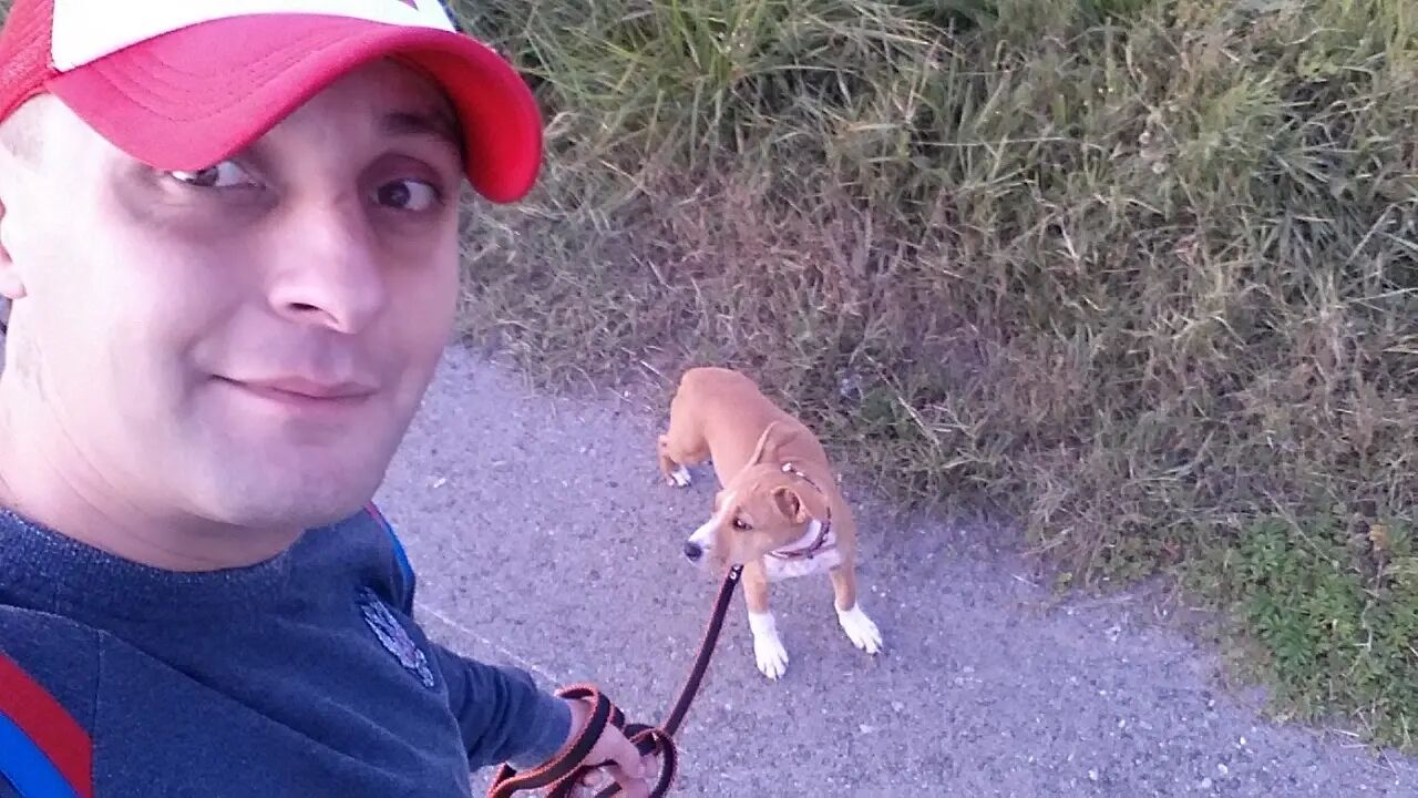 ���������� �����, ���� ������� ���������, 36 ���, ������������ ��� ������, ����� � ���������