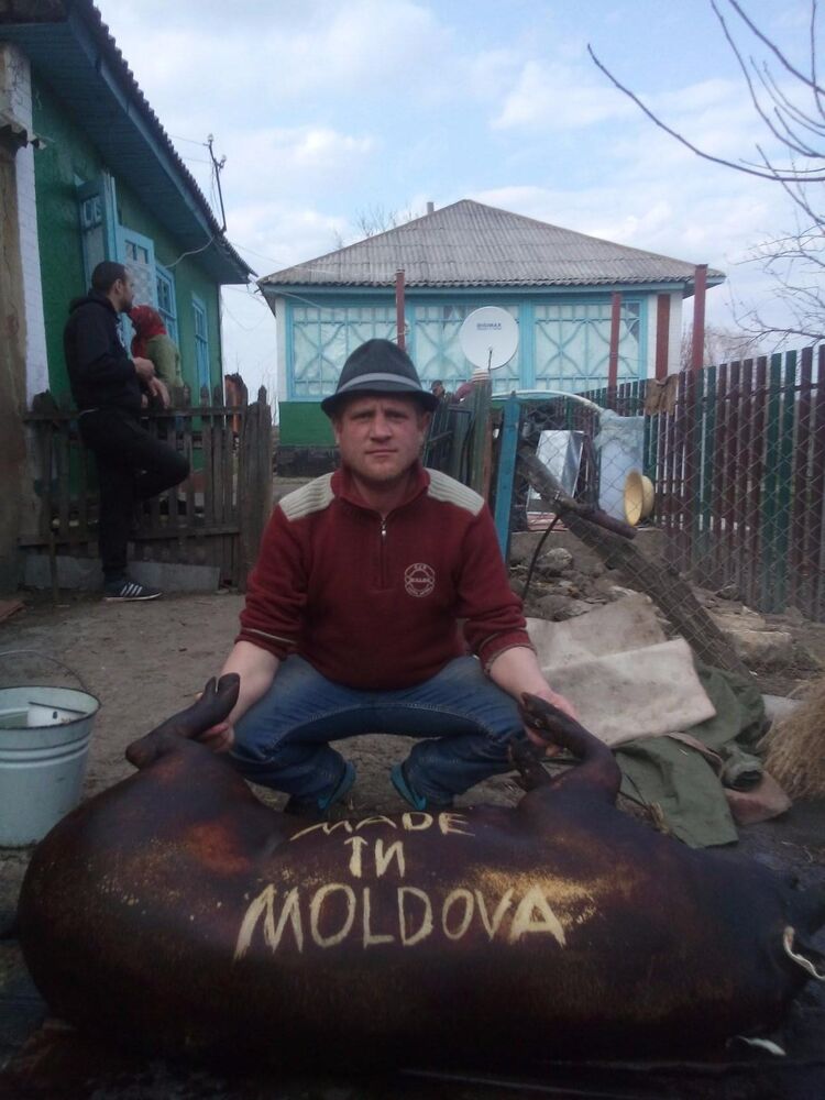  46308483  Serghei, 42 ,    