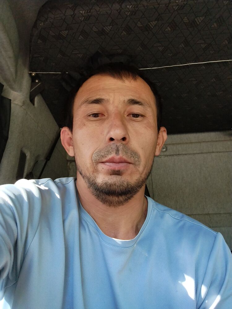  45526113  , 37 ,    