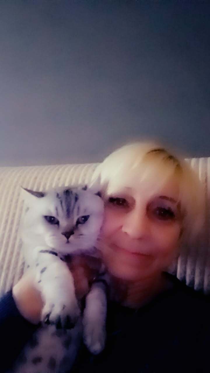 ���������� �������, ���� ������� ��������, 57 ���, ������������ ��� c�������� ���������