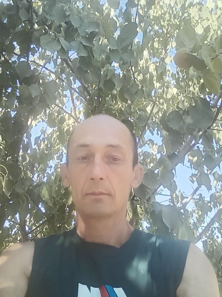  53008743  , 48 ,    