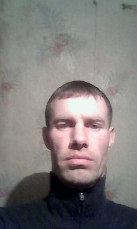  15498263  , 41 ,    