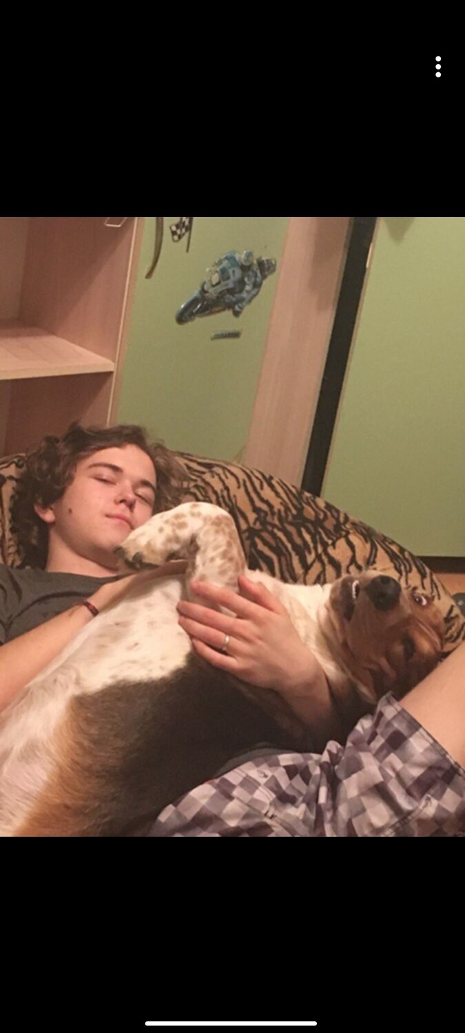 ���� 26655273 ������� ������, 27 ���, ���� ���������� � ����������