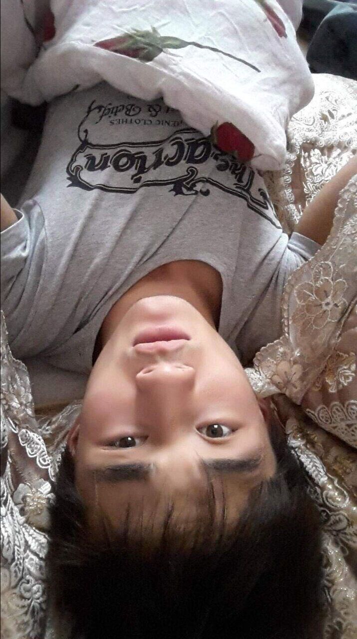  33777163  , 26 ,    
