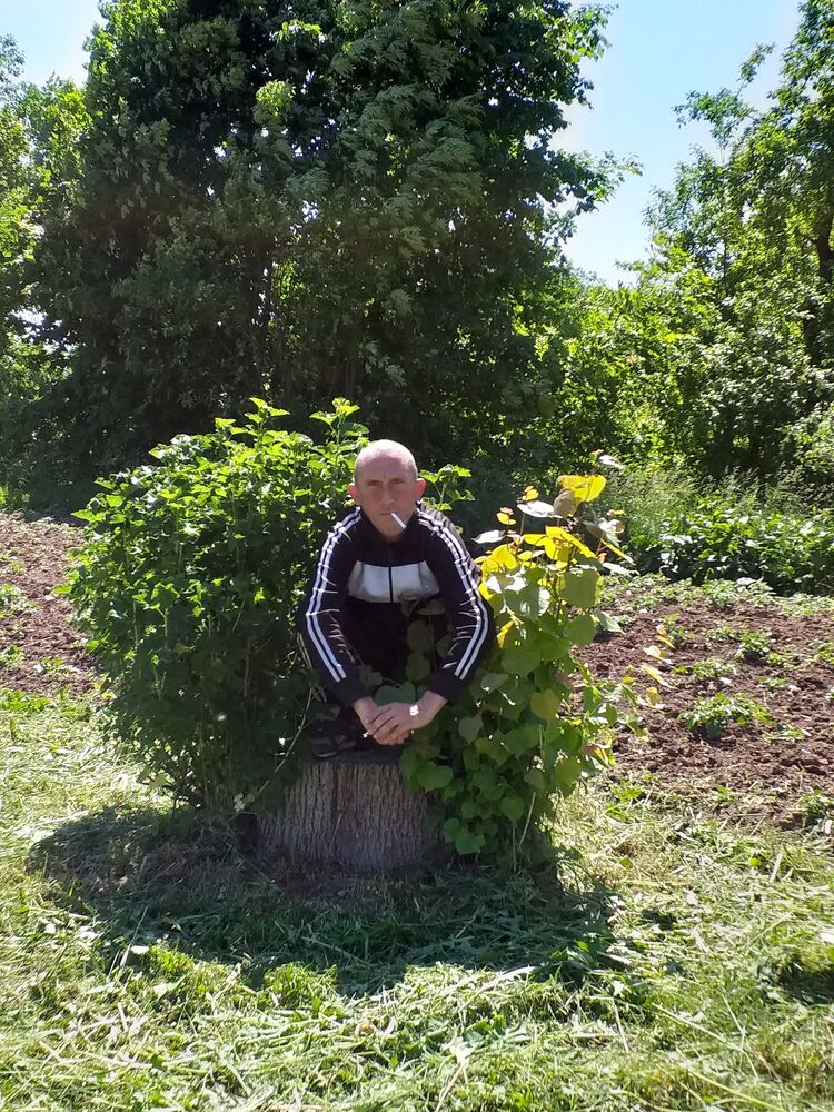 ���� 33392933 ������� ��������, 47 ���, ���� ���������� � �������������