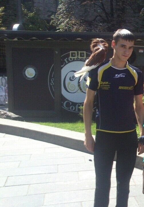 ���������� ����, ���� ������� ������, 32 ����, ������������ ��� ������, ����� � ���������, c�������� ���������