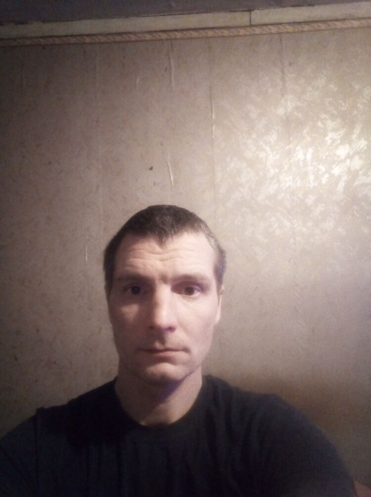  31181713  , 44 ,    