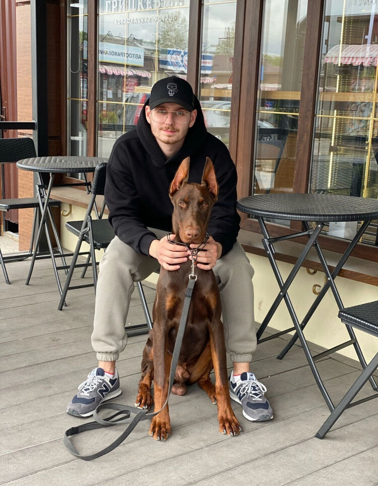 ���������� ������������, ���� ������� �����, 26 ���, ������������ ��� ������, ����� � ���������