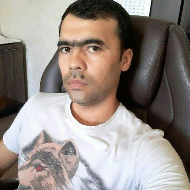 ���� 33521213 ������� ������, 30 ���, ���� ���������� � ���������