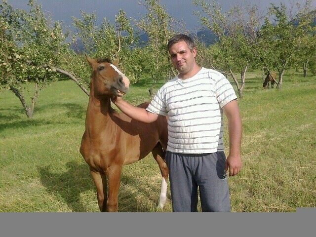 ���� 21781503 ������� ��������, 39 ���, ���� ���������� � ������