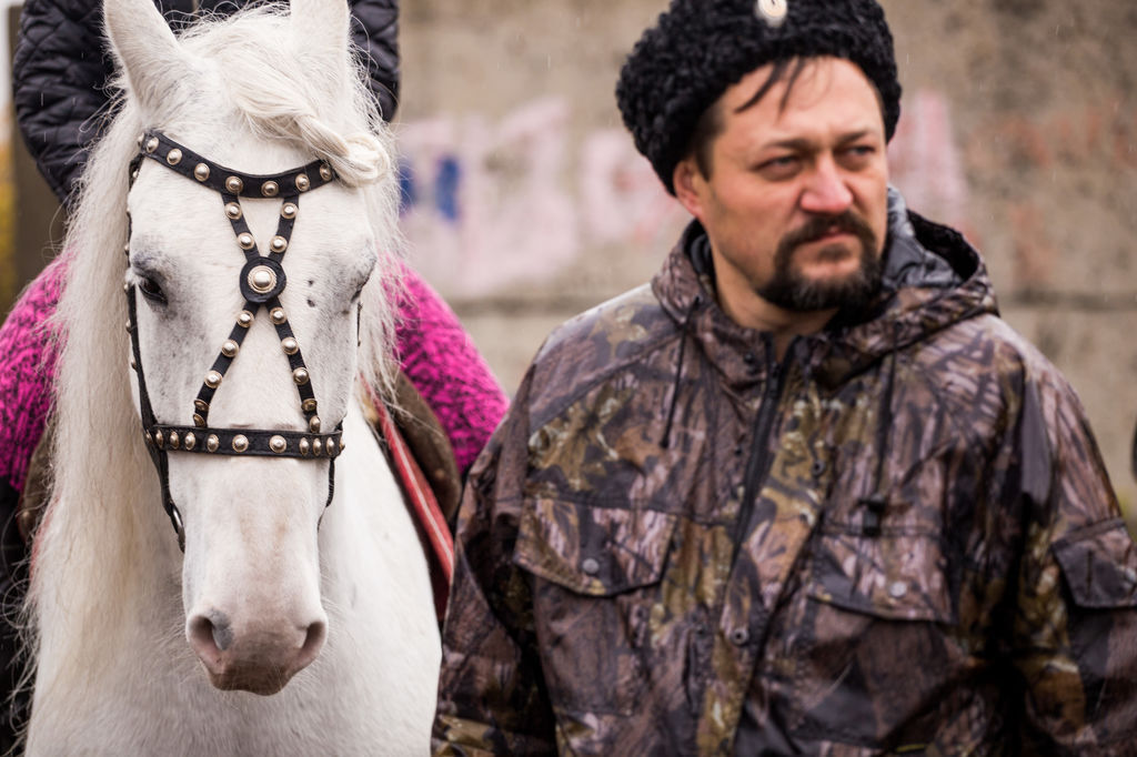 ���� 7587243 ������� Krasavind, 46 ���, ���� ���������� � �����