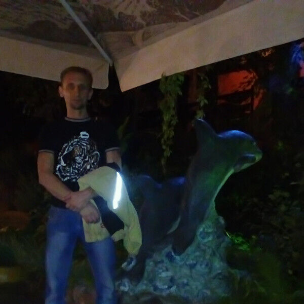  47882253  Vasy, 48 ,    