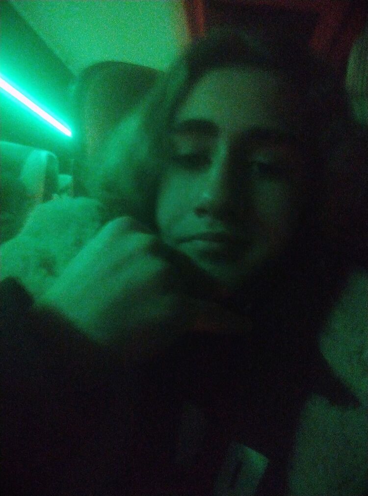 ���� 25929033 ����� ���, 23 ����, ���� ���������� � ����������