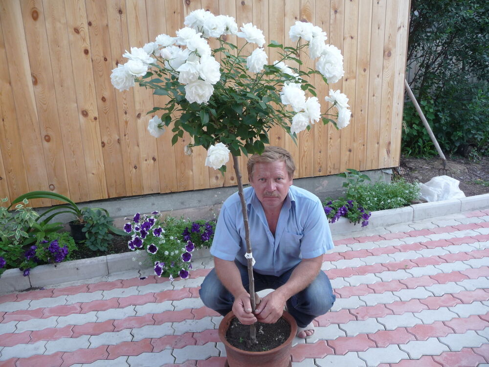  ,   , 61 ,  