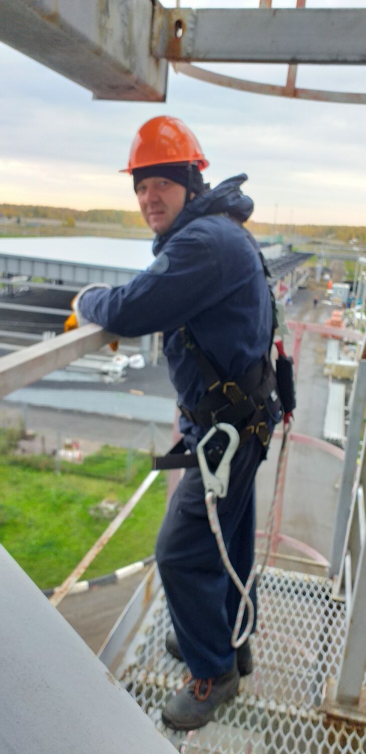 ���� 38363903 ������� ������, 42 ����, ���� ���������� � ��������