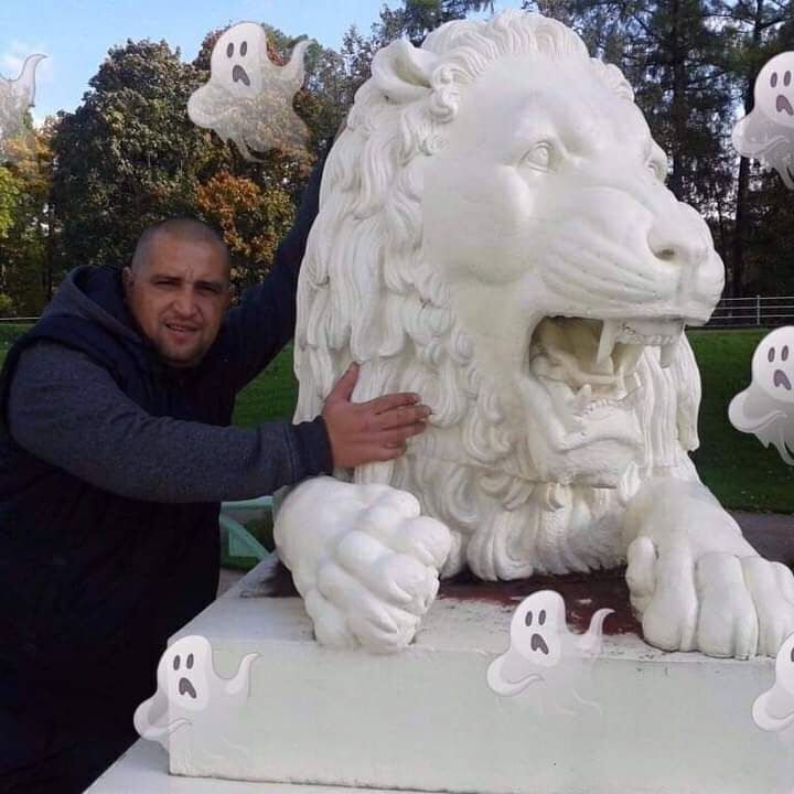 ���� 41903213 ������� ������, 43 ����, ���� ���������� � ����������