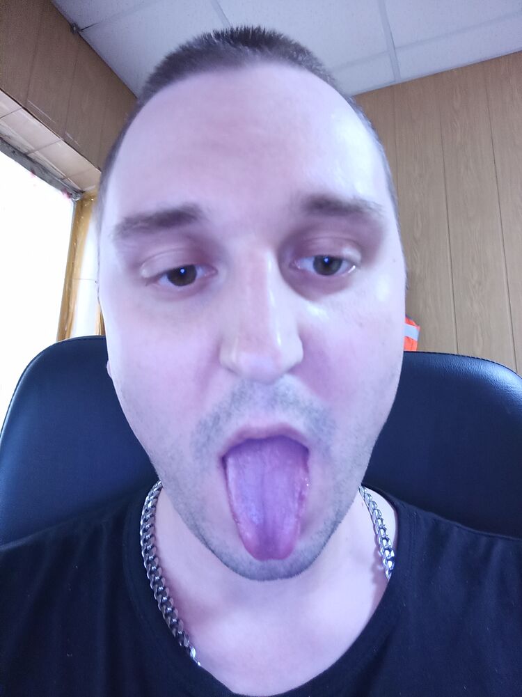 34597183  , 31 ,    