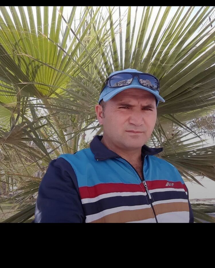 ���� 54963583 ������� ������, 44 ����, ���� ���������� � ���������