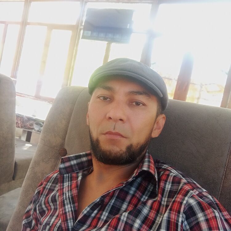  38945333  , 42 ,    