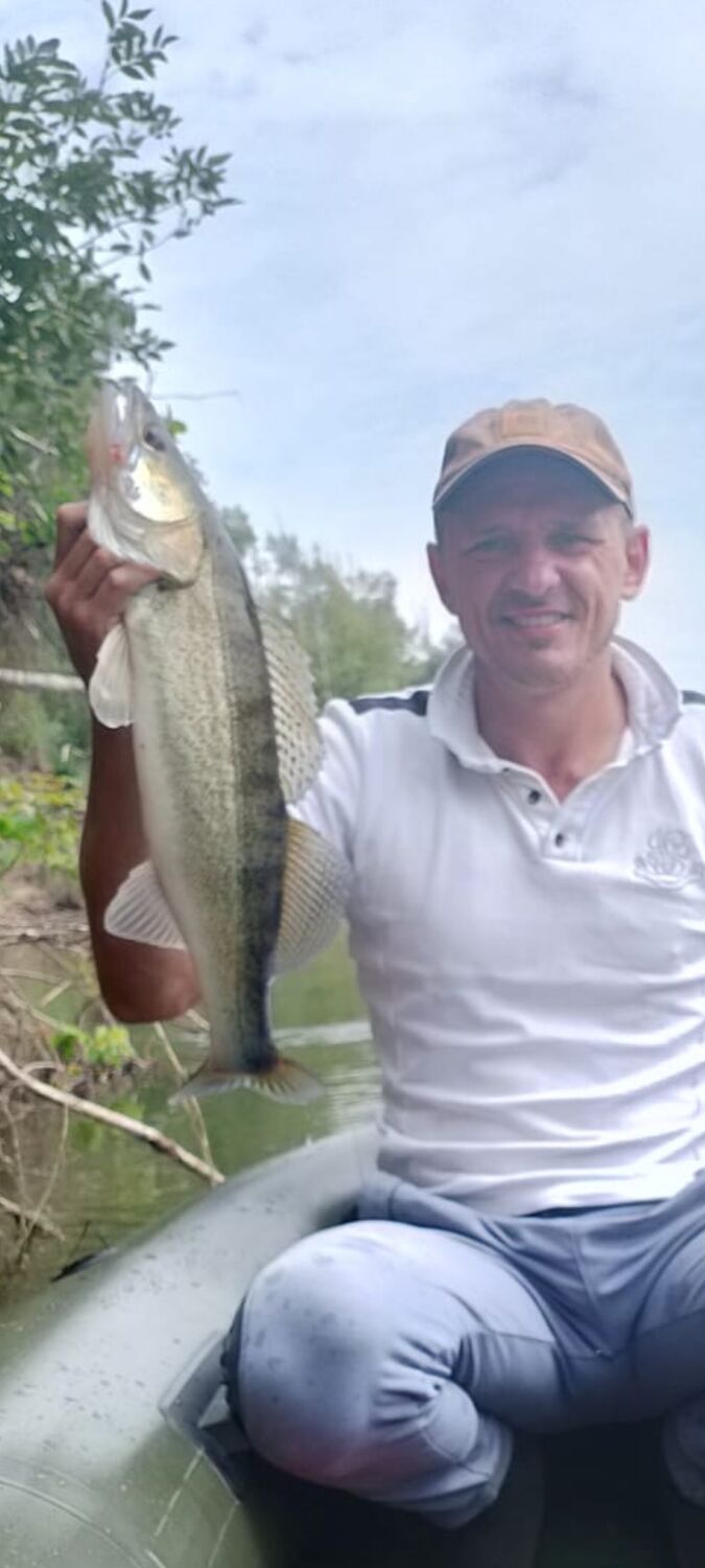 ���������� ��������, ���� ������� ���������, 39 ���, ������������ ��� ����� � ���������, c�������� ���������