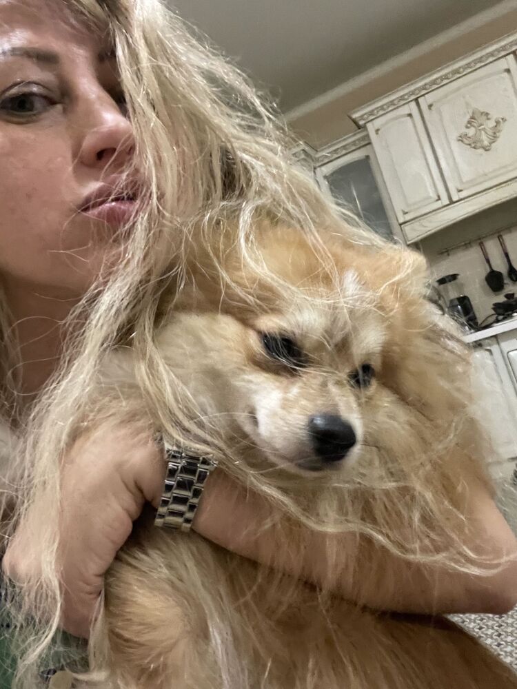 ���������� ������, ���� ������� ����, 50 ���, ������������ ��� ������, ����� � ���������