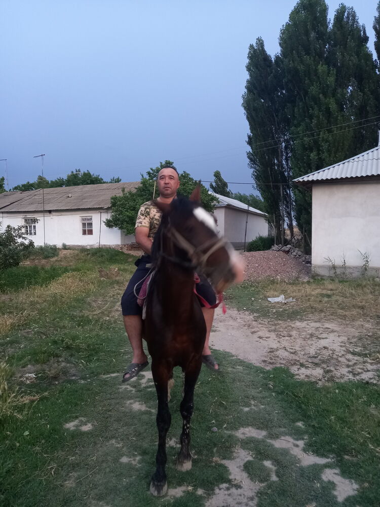 ���� 22979933 ������� ����������, 44 ����, ���� ���������� � ��������