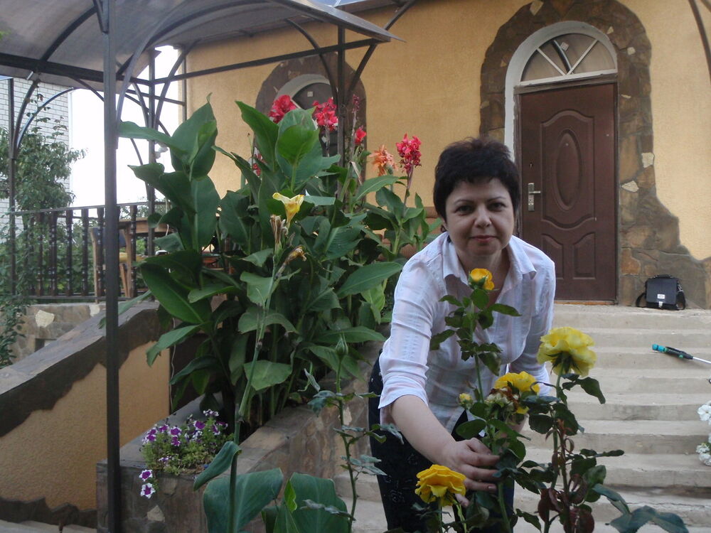  ,   , 53 ,   ,   , c , 