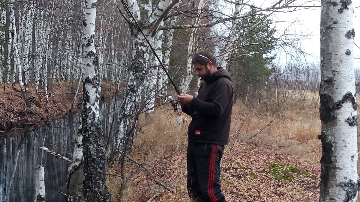 ���� 21775233 ������� �������, 40 ���, ���� ���������� � ������