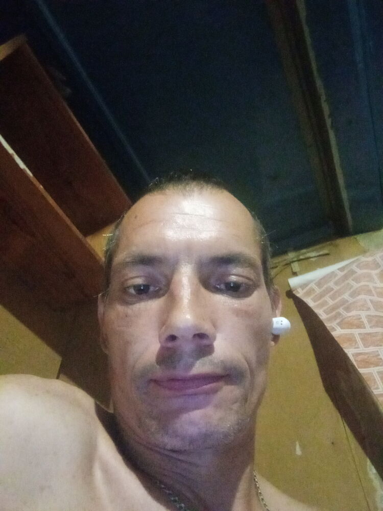  37417193  , 44 ,    