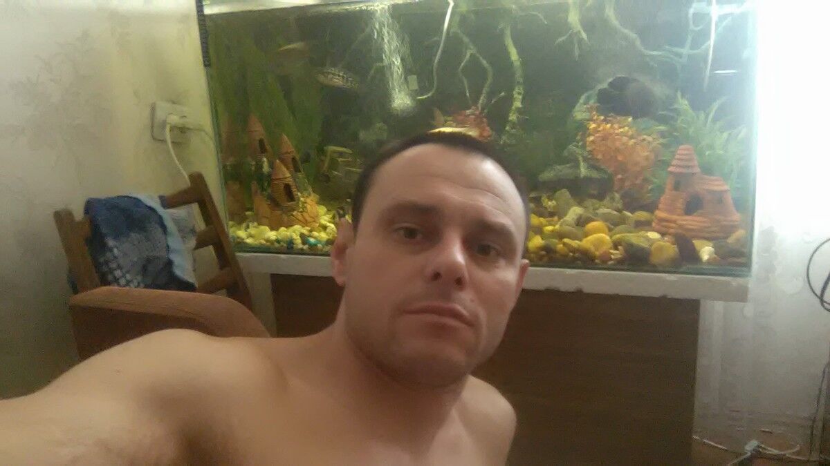  8518563  , 43 ,    