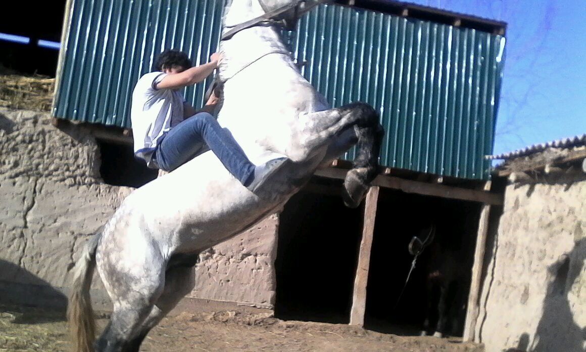 ���������� ���������, ���� ������� �����, 35 ���, ������������ ��� ������, ����� � ���������, c�������� ���������, ���������