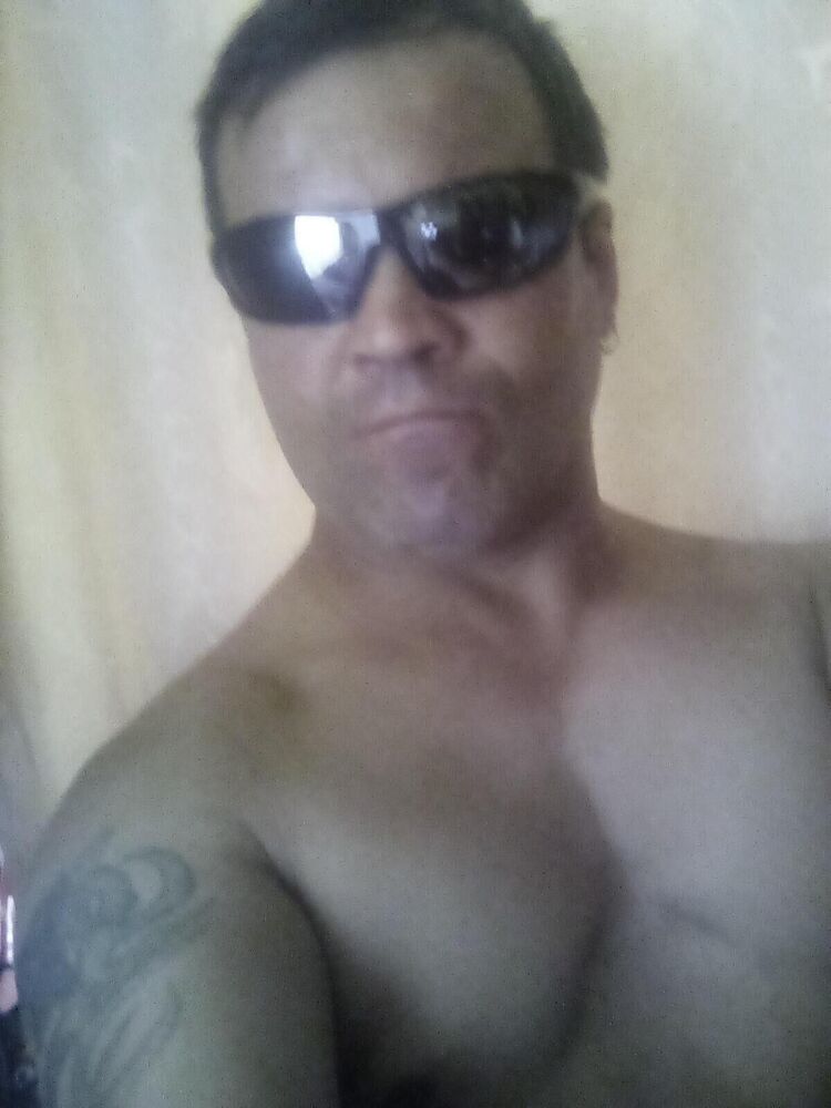  49593773  , 44 ,    