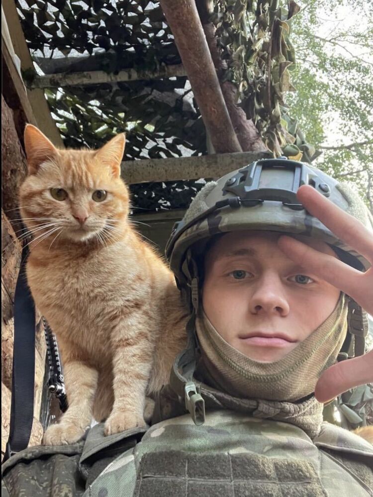 ���� 55655703 ����� �������, 21 ���, ���� ���������� � ��������