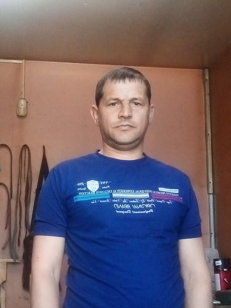  33781053  , 44 ,    --