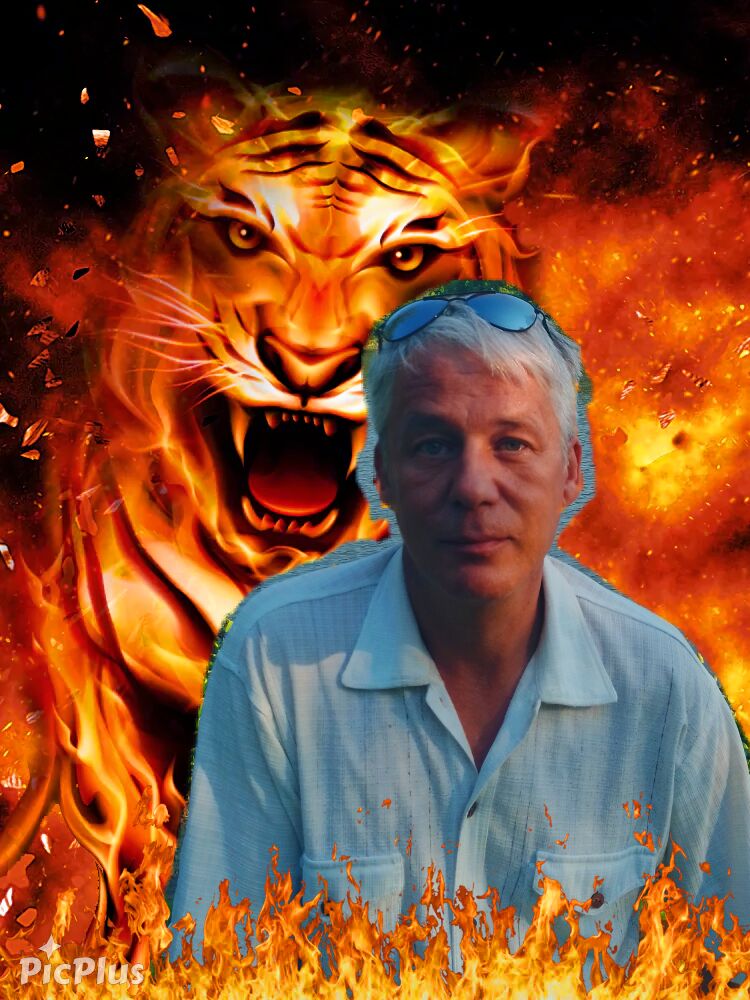 ���� 23704603 ������� �������, 51 ���, ���� ���������� � ��������