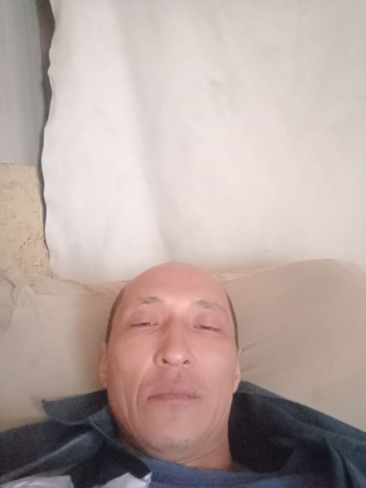 ���� 55230003 ������� ����, 43 ����, ���� ���������� � ����������