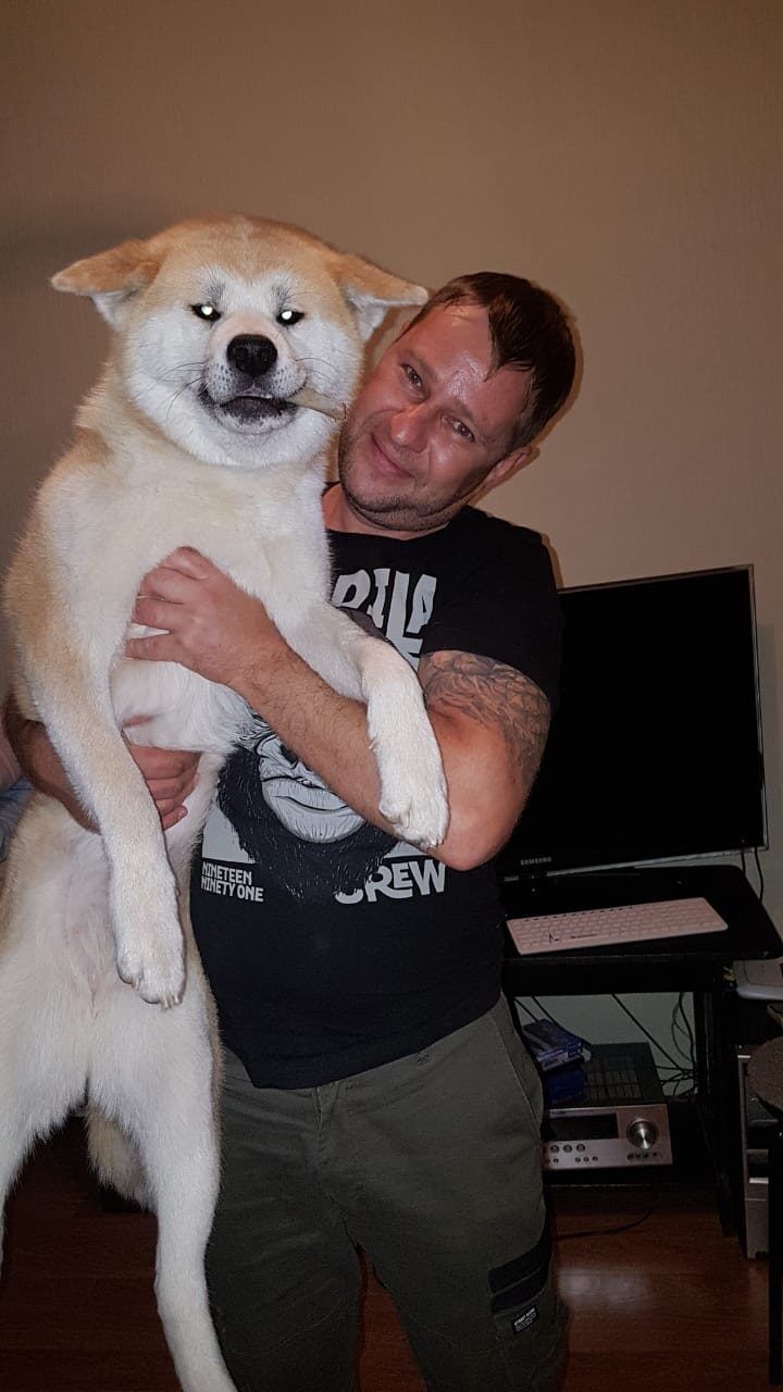  ,   , 41 ,   ,   