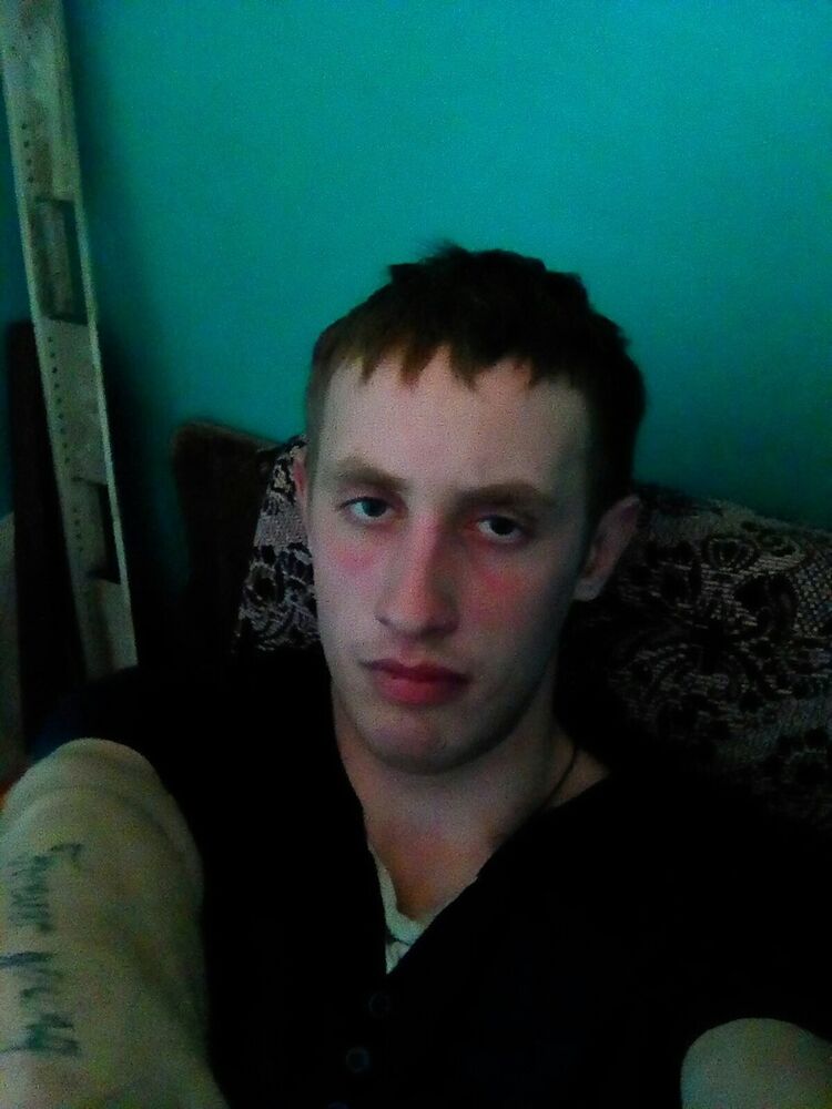  17728013  , 28 ,    