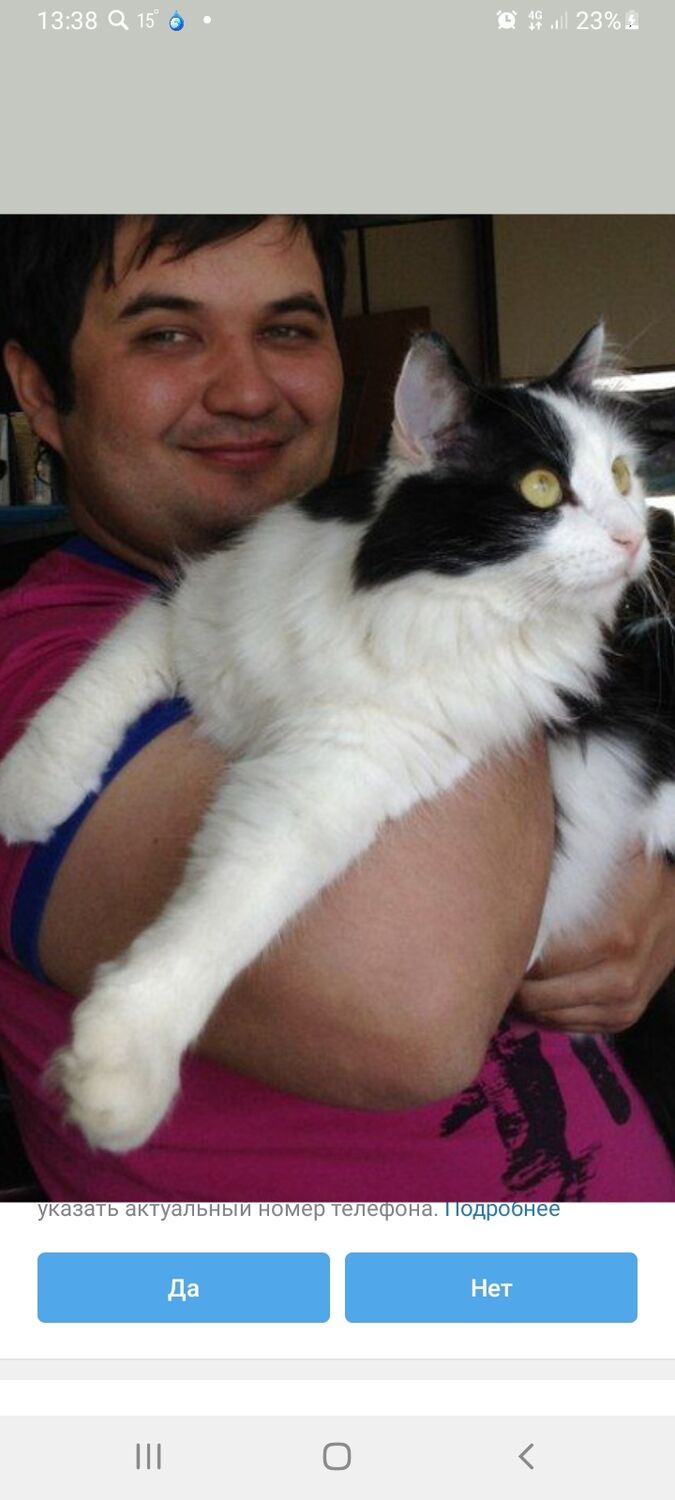  26311703  , 41 ,    -