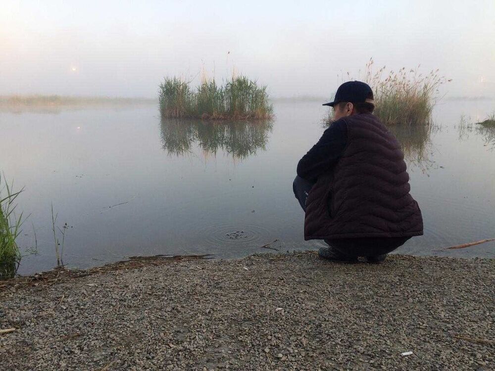 ���� 20341383 ������� ����, 33 ����, ���� ���������� � �������