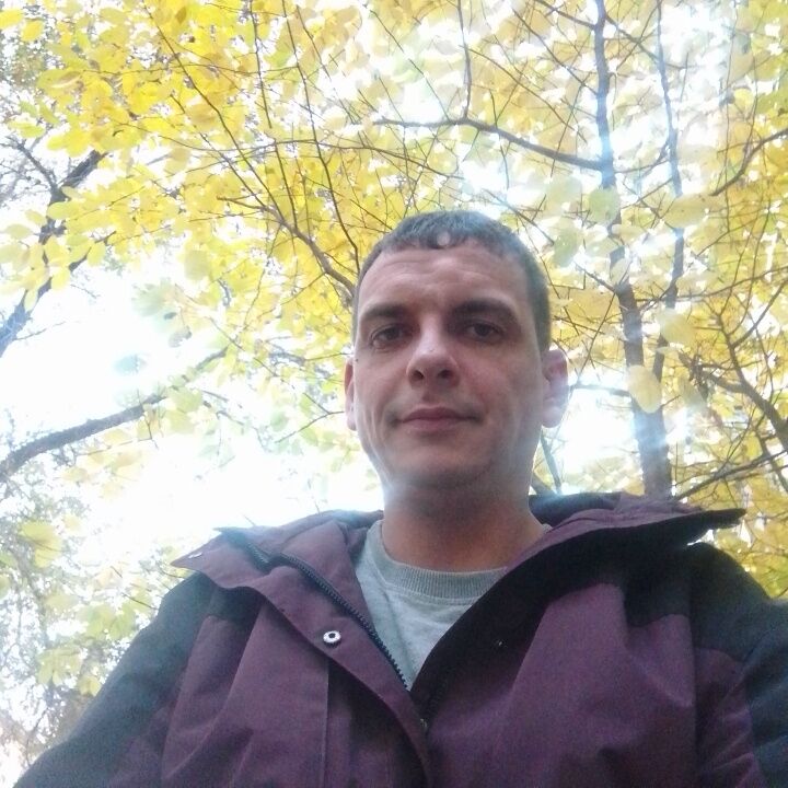 ���� 56212153 ������� �������, 36 ���, ���� ���������� � �����