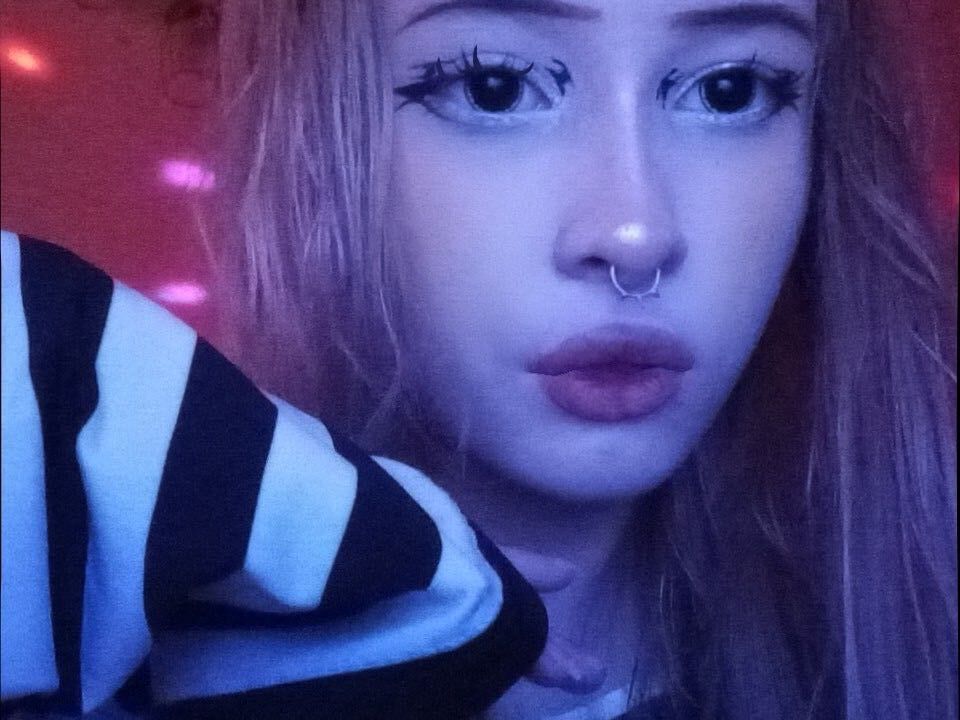  48288663  , 21 ,    
