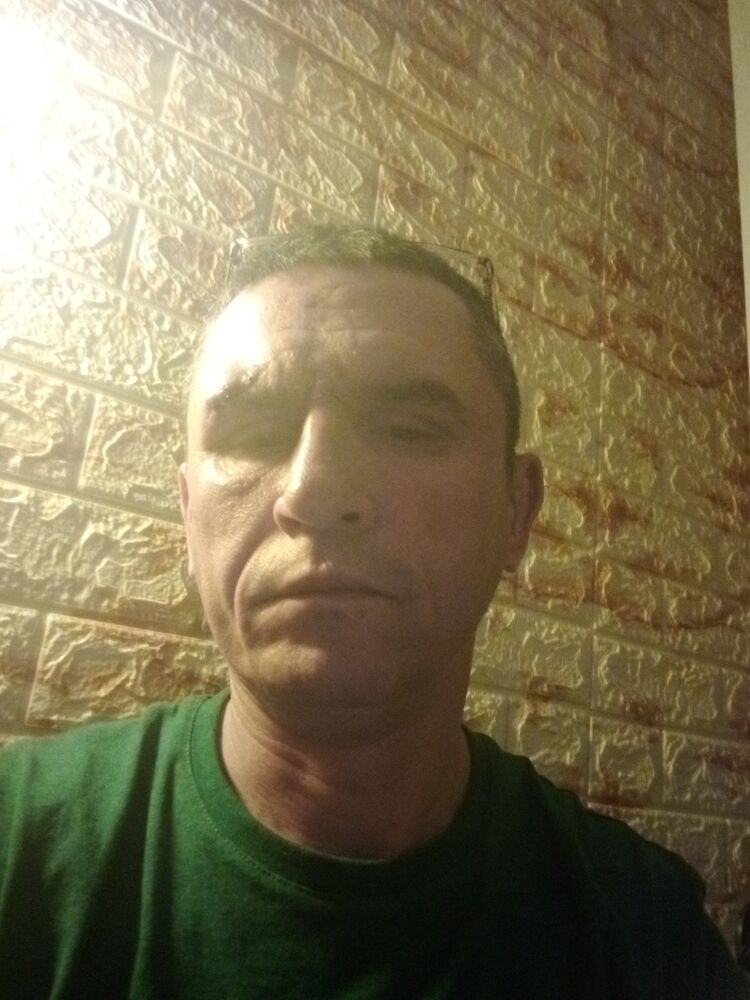  43194553  , 47 ,    